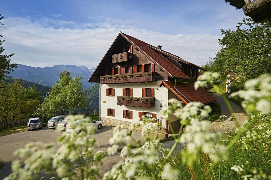 Farm Stay "Alpine Dreams" Solčava 外观 照片
