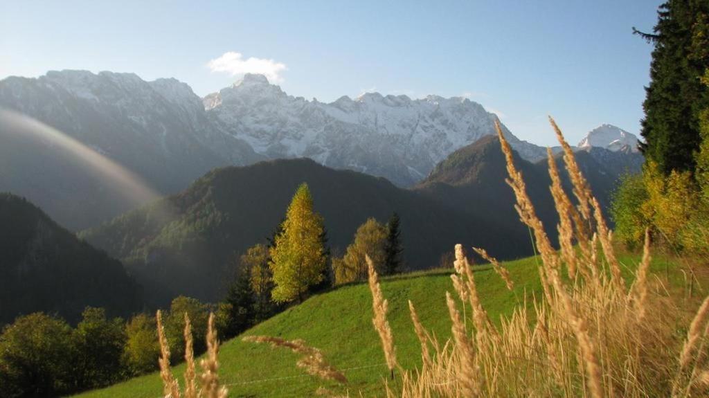 Farm Stay "Alpine Dreams" Solčava 外观 照片