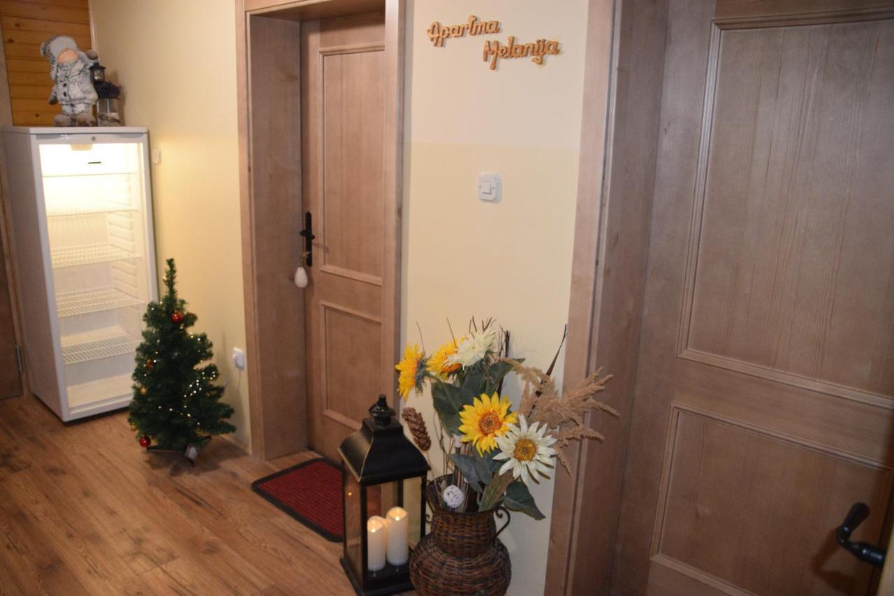Farm Stay "Alpine Dreams" Solčava 外观 照片