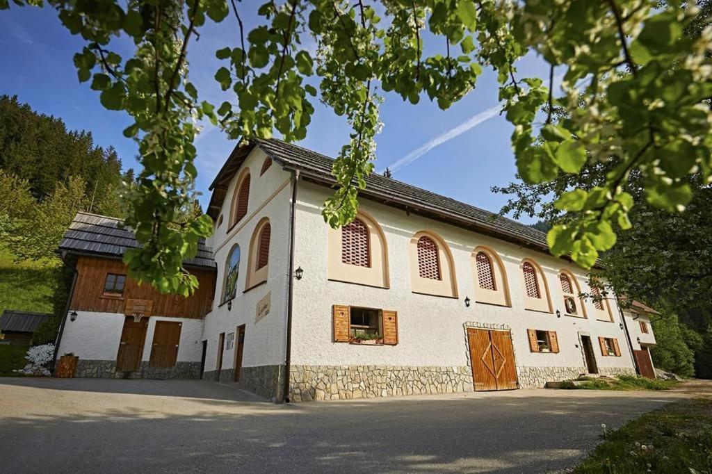 Farm Stay "Alpine Dreams" Solčava 外观 照片