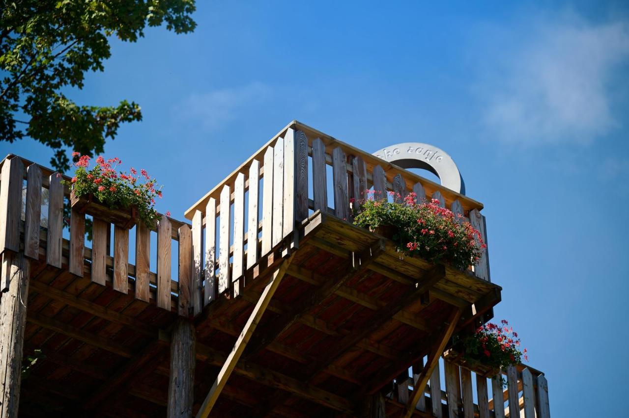 Farm Stay "Alpine Dreams" Solčava 外观 照片