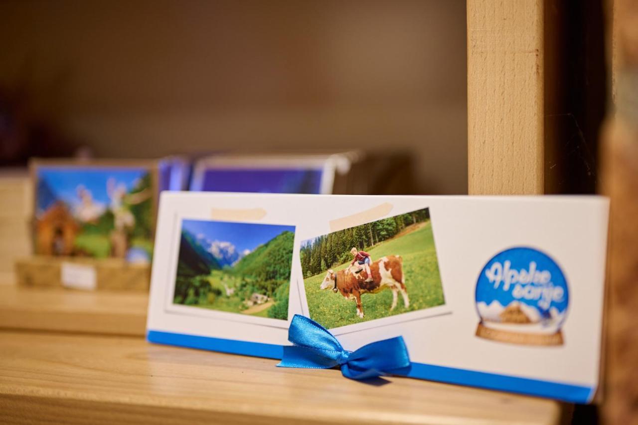 Farm Stay "Alpine Dreams" Solčava 外观 照片