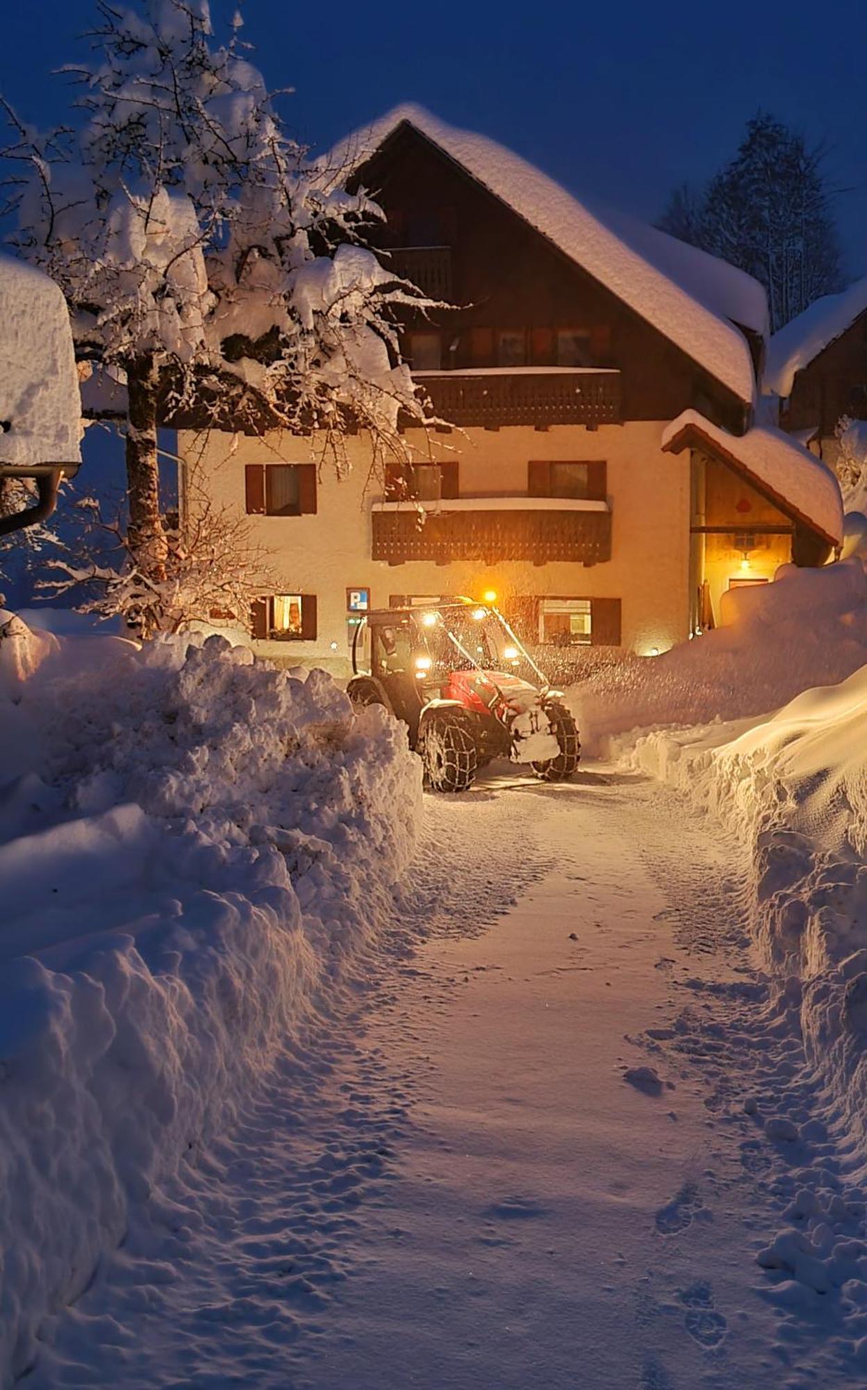 Farm Stay "Alpine Dreams" Solčava 外观 照片