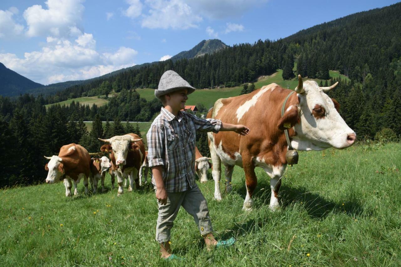 Farm Stay "Alpine Dreams" Solčava 外观 照片