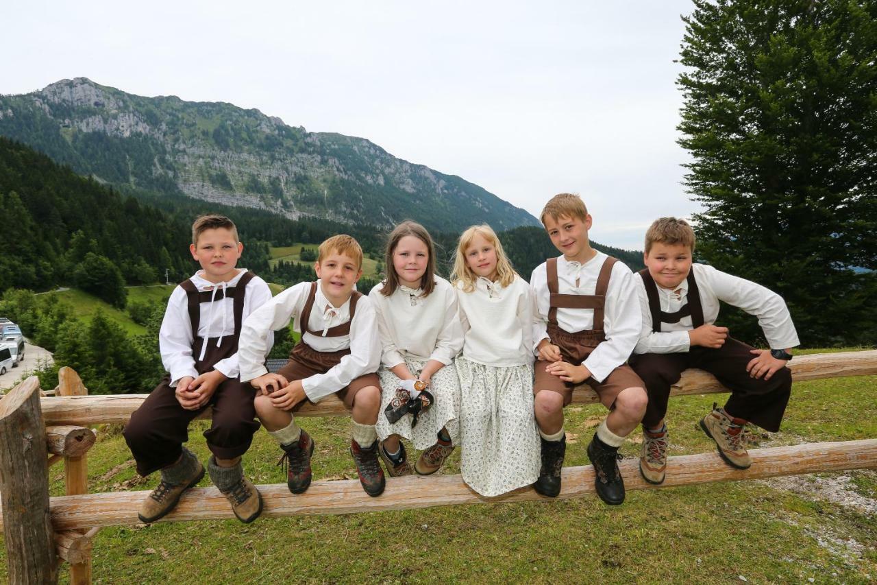 Farm Stay "Alpine Dreams" Solčava 外观 照片
