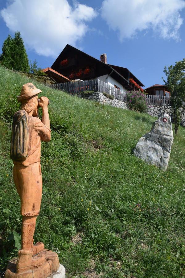 Farm Stay "Alpine Dreams" Solčava 外观 照片