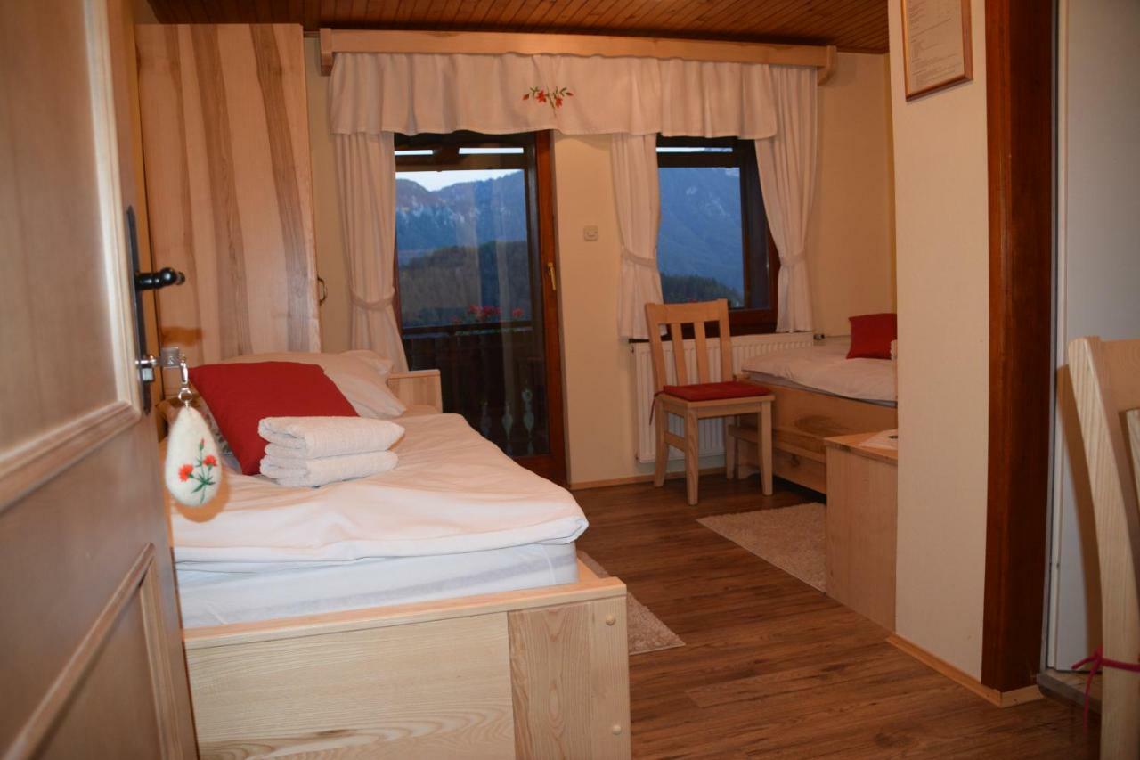 Farm Stay "Alpine Dreams" Solčava 外观 照片
